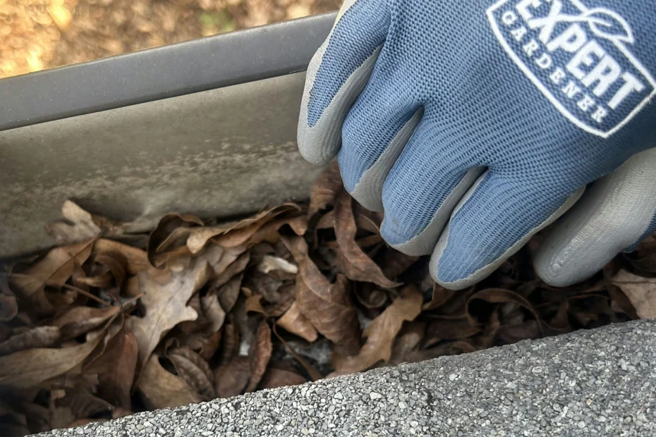 Gutter Cleaning Fort Lauderdale FL