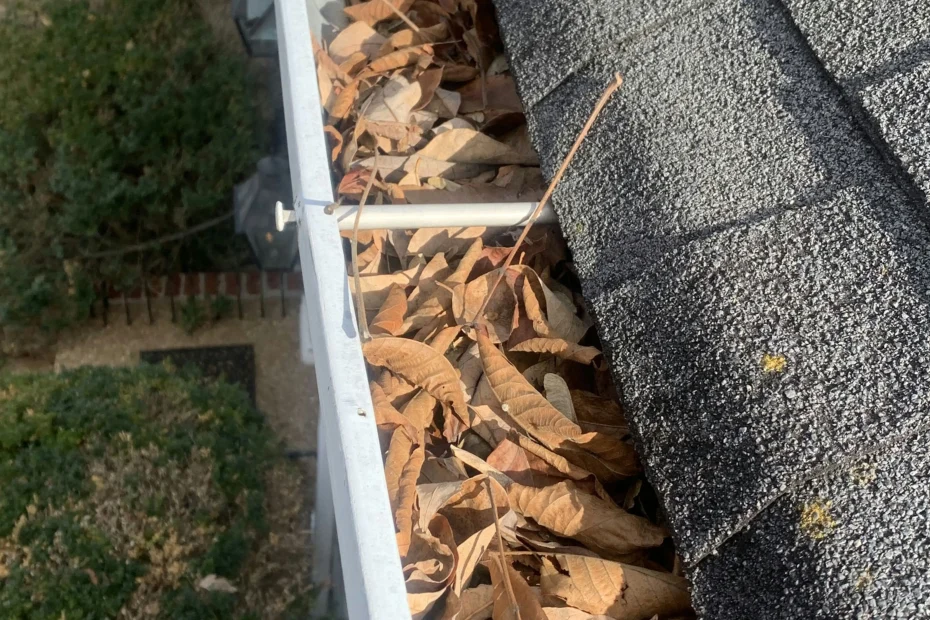 Gutter Cleaning Fort Lauderdale FL