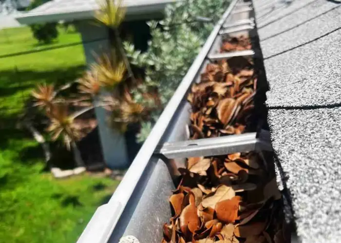 Gutter Cleaning Fort Lauderdale FL home page